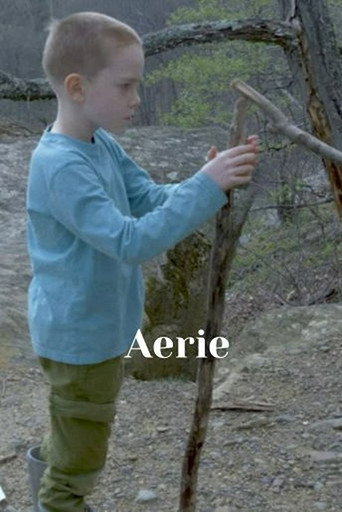 Póster de Aerie