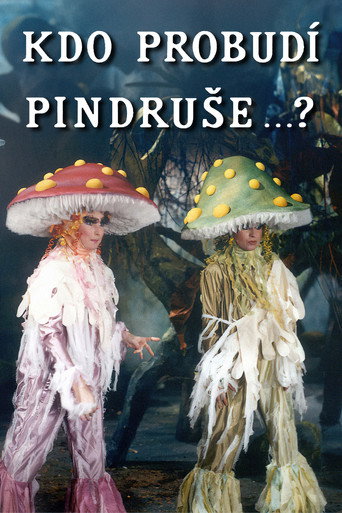 Póster de Kdo probudí Pindruše...?
