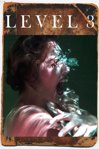 Póster de Level 3