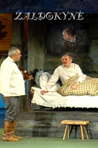Póster de Žaldokynė
