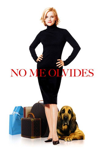 Póster de No me olvides