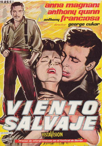 Póster de Wild Is the Wind