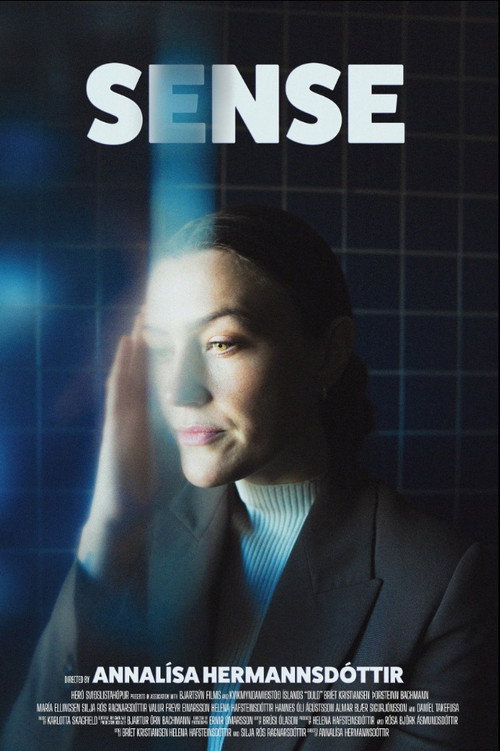 Póster de Duld
