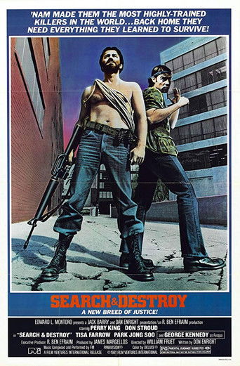 Póster de Search and Destroy
