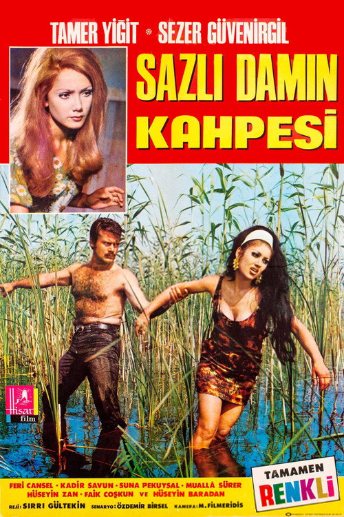 Póster de Sazlı Damın Kahpesi