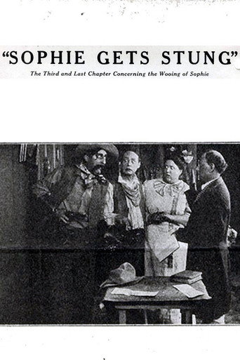 Póster de Sophie Gets Stung