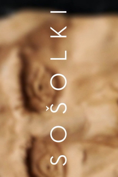 Póster de Sošolki