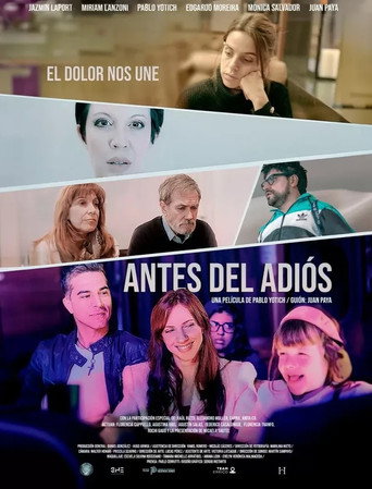 Póster de Antes del adiós