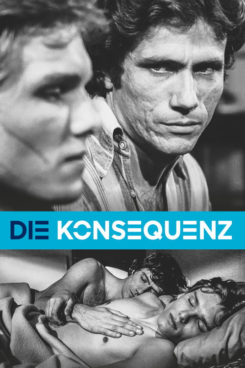Póster de Die Konsequenz