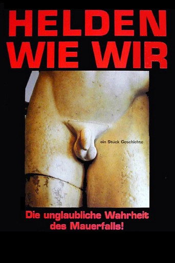 Póster de Helden wie wir