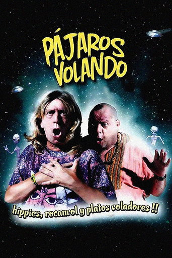 Póster de Pájaros volando