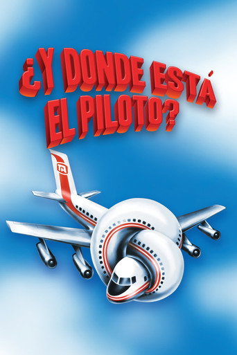 Póster de Y, ¿dónde está el piloto?