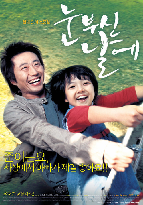 Póster de 눈부신 날에