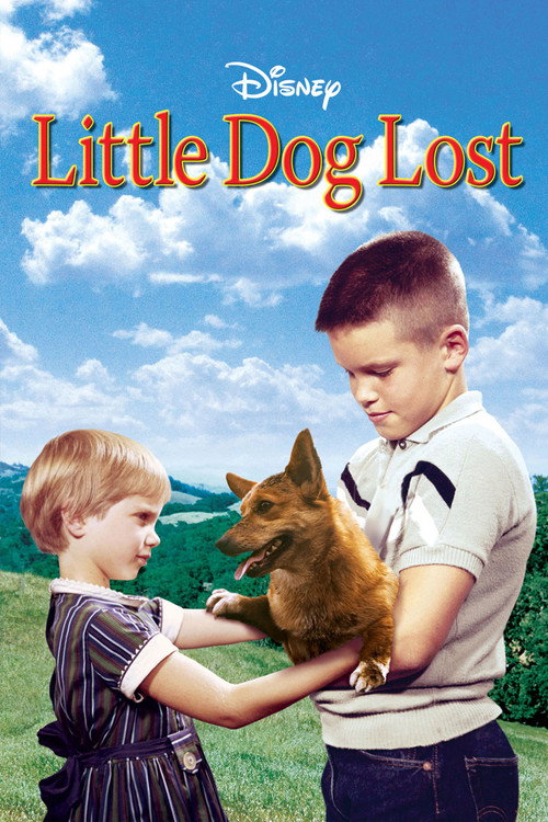 Póster de Little Dog Lost