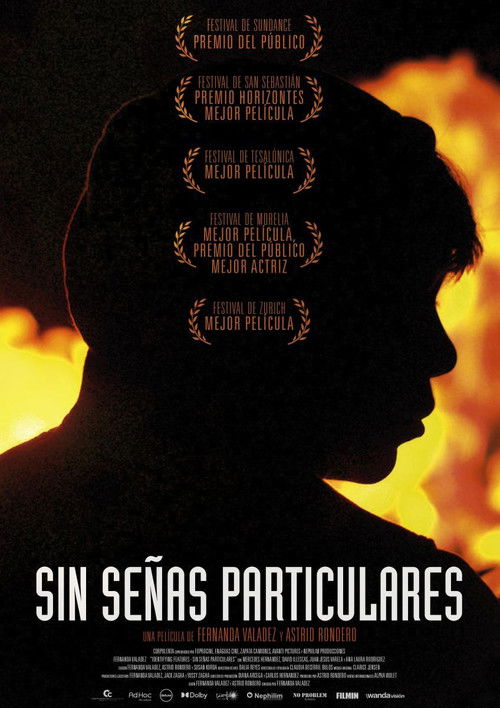 Póster de Sin Señas Particulares