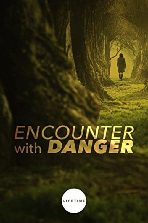 Póster de Encounter with Danger