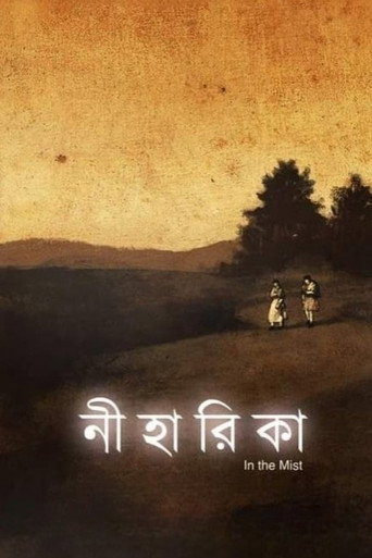 Póster de নীহারিকা
