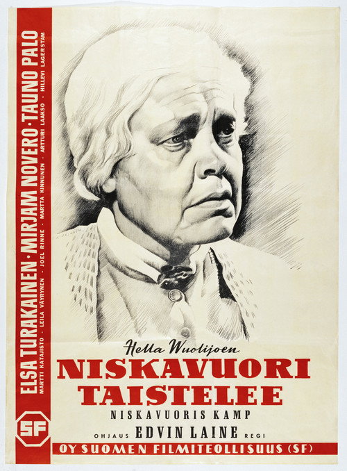 Póster de Niskavuori taistelee