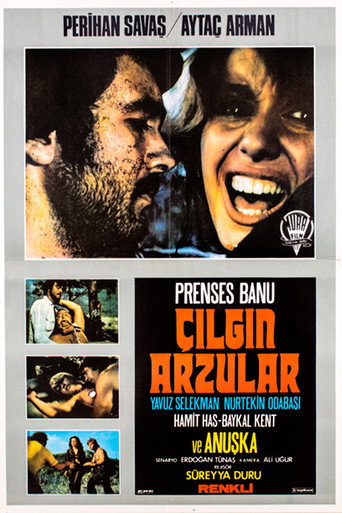 Póster de Çılgın Arzular
