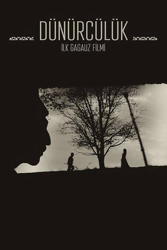 Póster de Dünürcülük