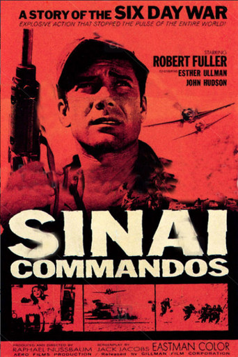Póster de Kommando Sinai