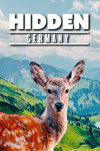 Póster de Hidden Germany