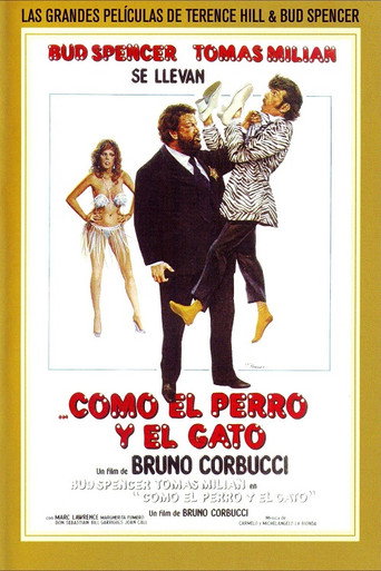 Póster de Como el perro y el gato