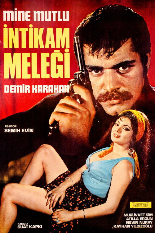 Póster de İntikam Meleği