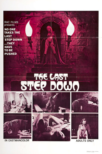 Póster de The Last Step Down