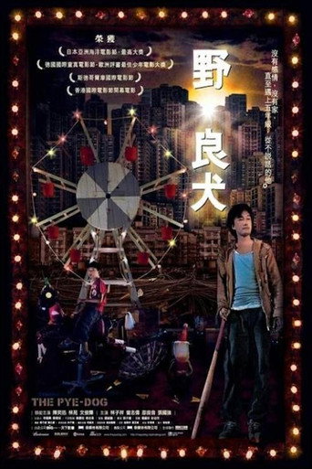 Póster de 野·良犬