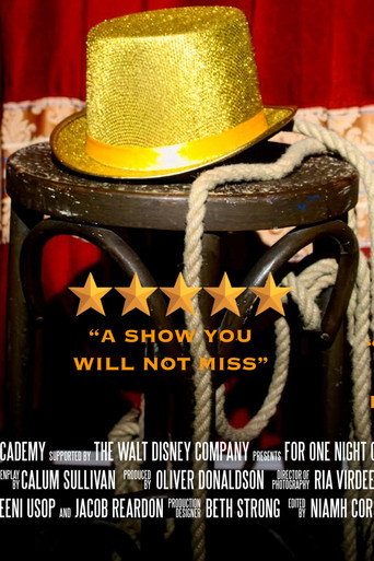 Póster de For One Night Only