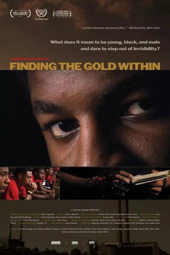 Póster de Finding the Gold Within