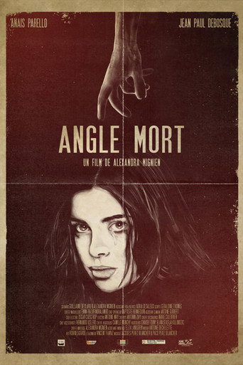 Póster de Angle mort