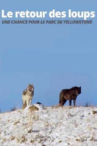 Póster de Die Rückkehr der Wölfe: Das Wunder im Yellowstone-Nationalpark