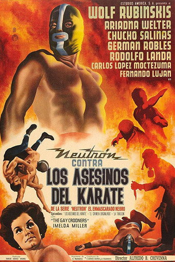 Póster de Los Asesinos del Karate