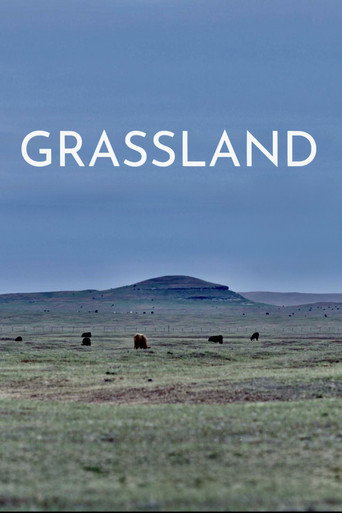 Póster de Grassland