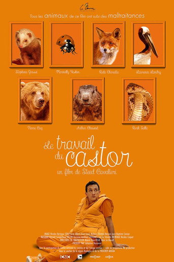 Póster de Le Travail du castor