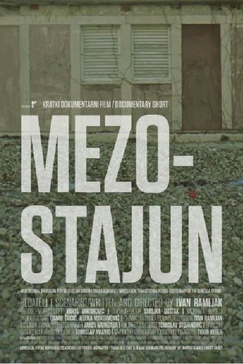 Póster de Mezostajun