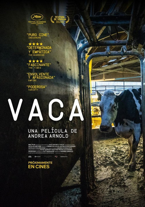 Póster de Cow