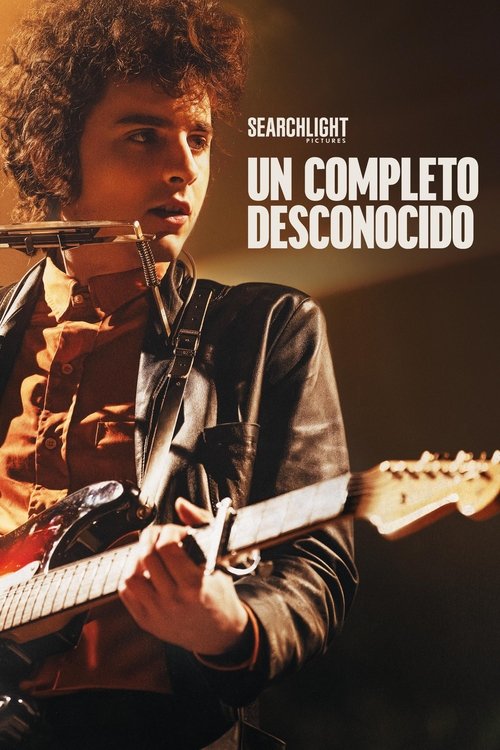 Póster de Un completo desconocido