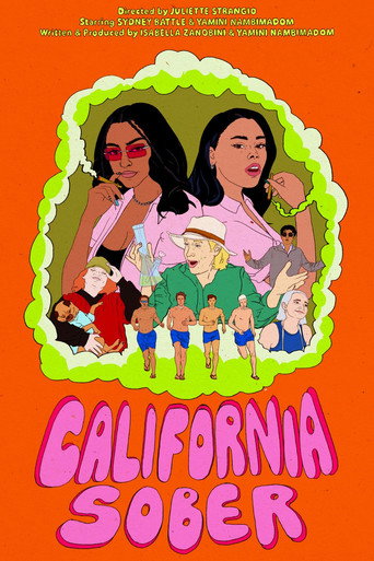 Póster de California Sober