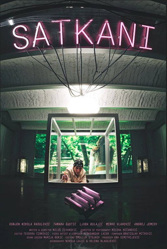 Póster de Satkani