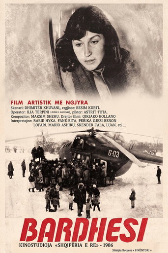 Póster de Bardhësi