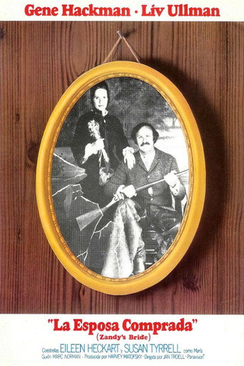 Póster de Zandy's Bride