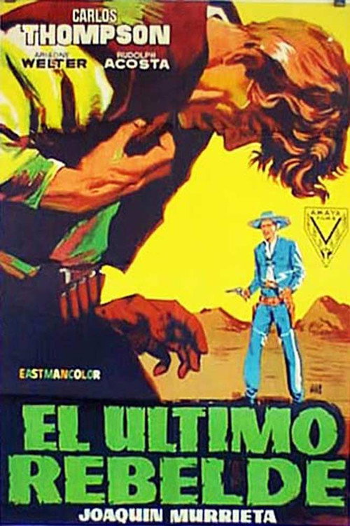 Póster de The Last Rebel