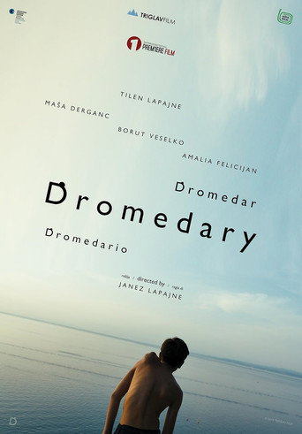 Póster de Dromedar