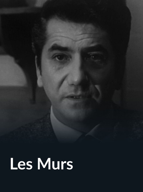Póster de Les murs