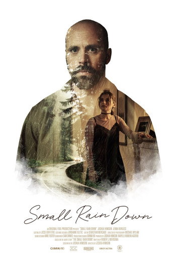 Póster de Small Rain Down