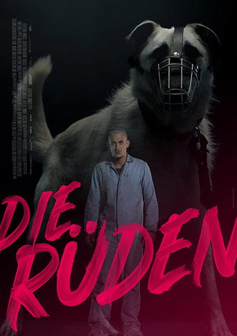 Póster de Die Rüden