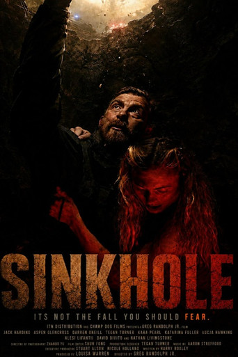 Póster de Sink Hole